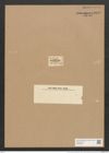 Encyonema sinensis (Ehr.) Ralfs (de-Toni-Nr.: Genus 34, Species 1496) Zeichnungen Sammlung Grunow Nr. 2896 (NHMW-BOT-W0370229)